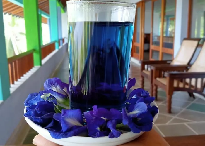 Atulya Lake View - Resort And Spa