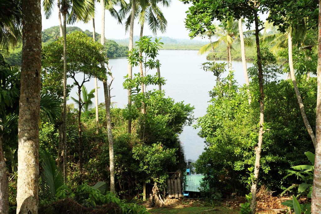 Atulya View - And *